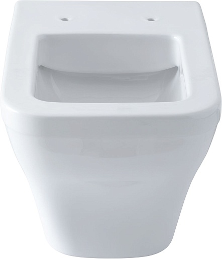 Allen Brau Унитаз с инсталляцией Infinity 4.21011.20/8.9466.0.000.000.1 белый глянец – картинка-29